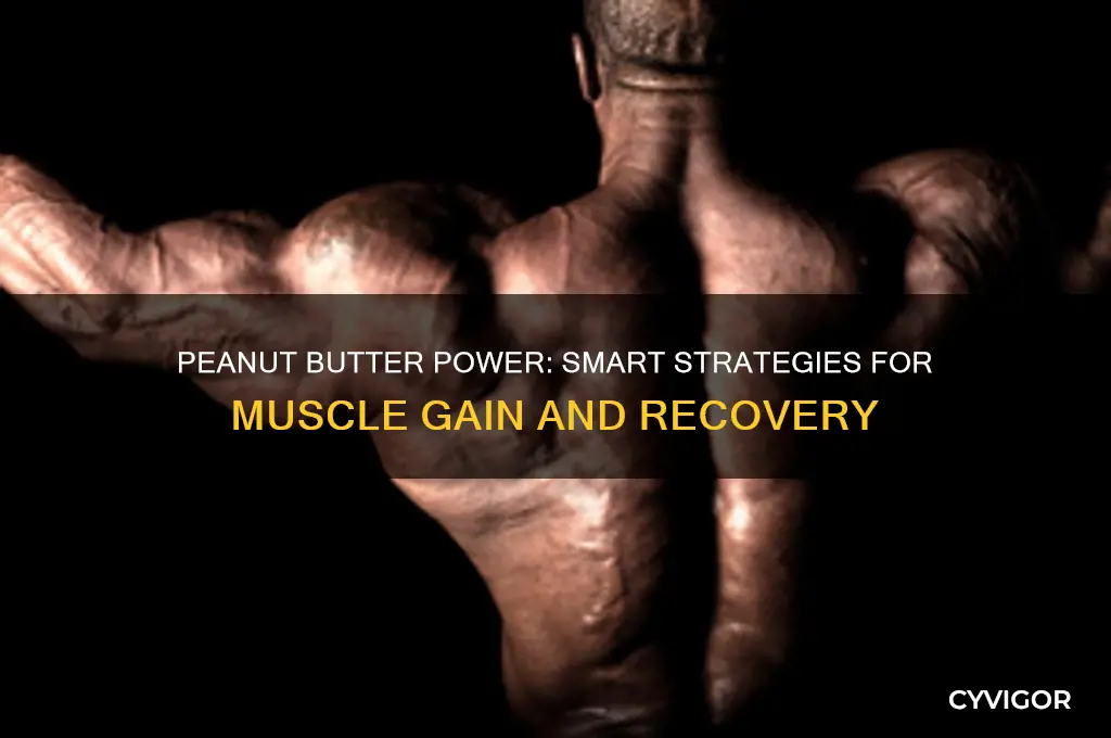 how to eat peanut butter for muscle gain