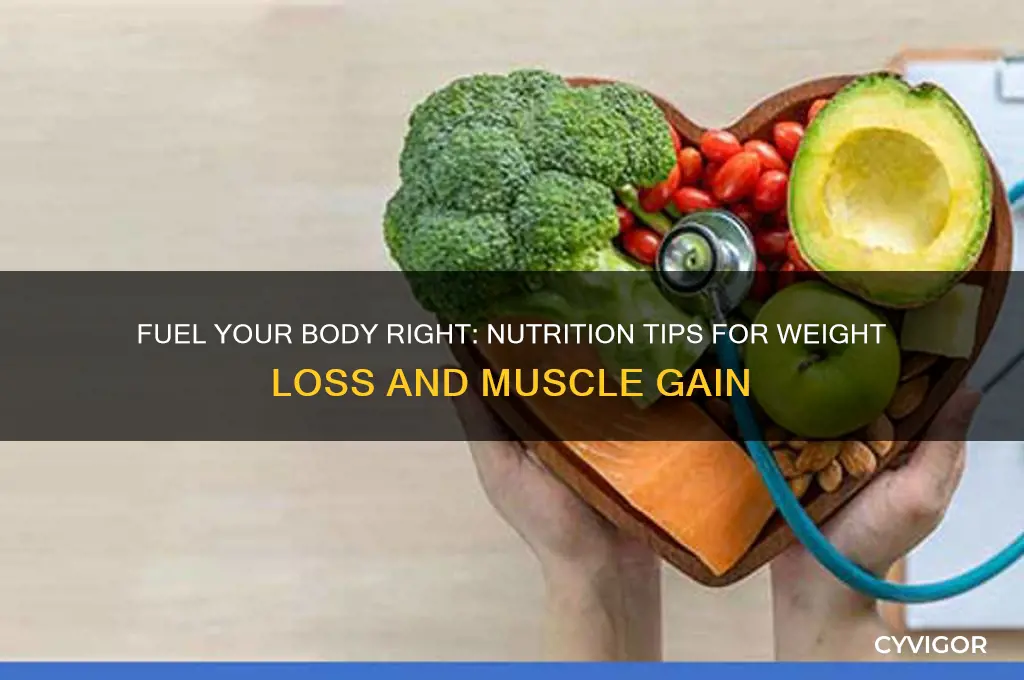 how to eat properly to lose weight and gain muscle