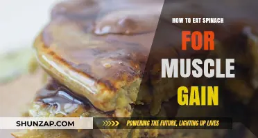 Spinach for Muscle Gain: Nutrition Tips and Recipes to Bulk Up