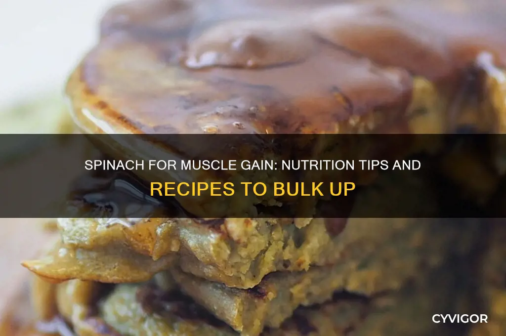 how to eat spinach for muscle gain