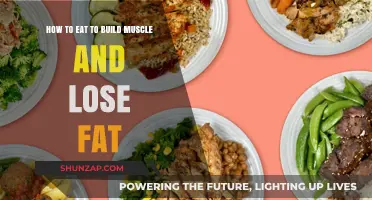 Fuel Your Fitness: The Balanced Diet for Muscle Gain and Fat Loss