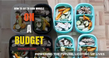 Budget-Friendly Muscle Building: Affordable Eating for Strength Gains