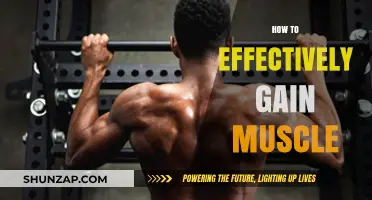 Proven Strategies for Building Muscle Mass and Strength Effectively