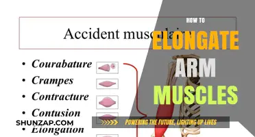 Effective Techniques to Lengthen and Strengthen Your Arm Muscles