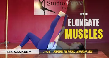 Elongating Your Muscles: Tips for Flexibility and Relaxation