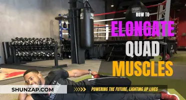 Unlocking Quad Muscle Flexibility: Techniques for Effective Elongation