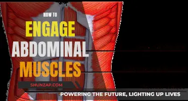 Engaging Your Abs: A Guide to Abdominal Muscle Activation