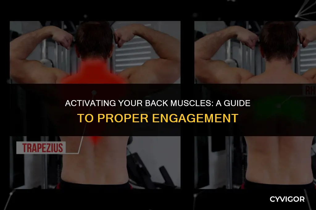how to engage back muscle instead of deltoid