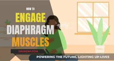 Engaging Diaphragm Muscles: Techniques for Optimal Breathing