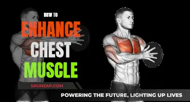 Enhancing Chest Muscles: A Comprehensive Guide to Success
