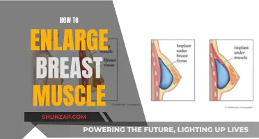 Building Breast Muscle: Techniques for a Fuller, Firmer Look
