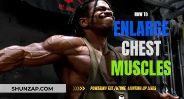 Building a Bigger Chest: Effective Muscle-Growth Strategies