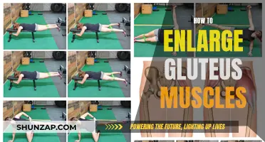 Grow Your Glutes: Effective Strategies for Enlarging Gluteus Muscles