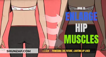 Building Bigger Hip Muscles: A Comprehensive Guide