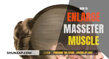 The Ultimate Guide to Masseter Muscle Enlargement Techniques