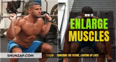The Ultimate Guide to Building Bigger Muscles