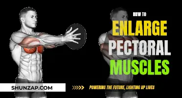 The Ultimate Guide to Building Bigger Pectoral Muscles