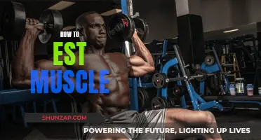 Building Muscle: Effective Strategies for Quick Results