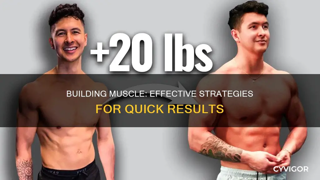how to est muscle