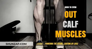 Sculpting Symmetry: A Guide to Balancing Your Calf Muscles