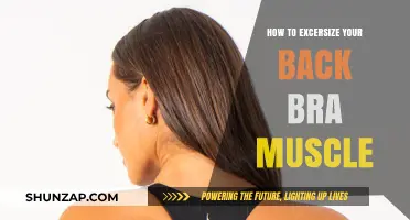 Strengthening Your Back: A Guide to Exercising the Bra Muscle