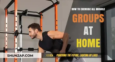 Full-Body Home Workouts: Targeting Every Muscle Group Effectively