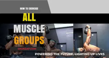 Full-Body Fitness: Effective Workouts to Target Every Muscle Group