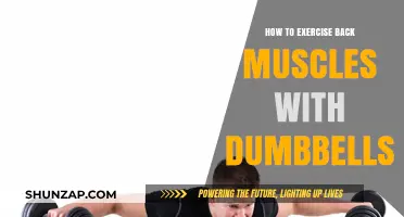 Strengthen Your Back: Effective Dumbbell Exercises for Muscle Growth