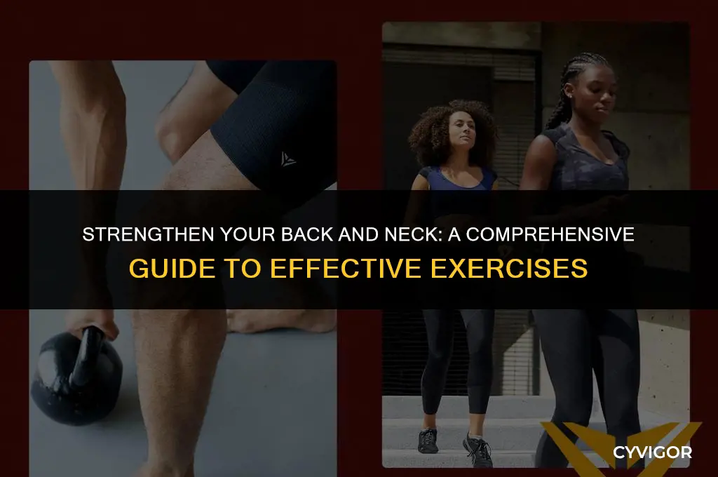how to exercise back neck muscles