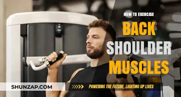 Strengthen Your Back Shoulders: A Comprehensive Exercise Guide
