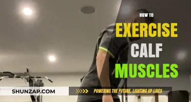 Strengthen Your Lower Legs: A Guide to Effective Calf Exercises