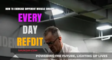 Daily Muscle Group Workouts: Effective Strategies for Targeted Exercise Routines