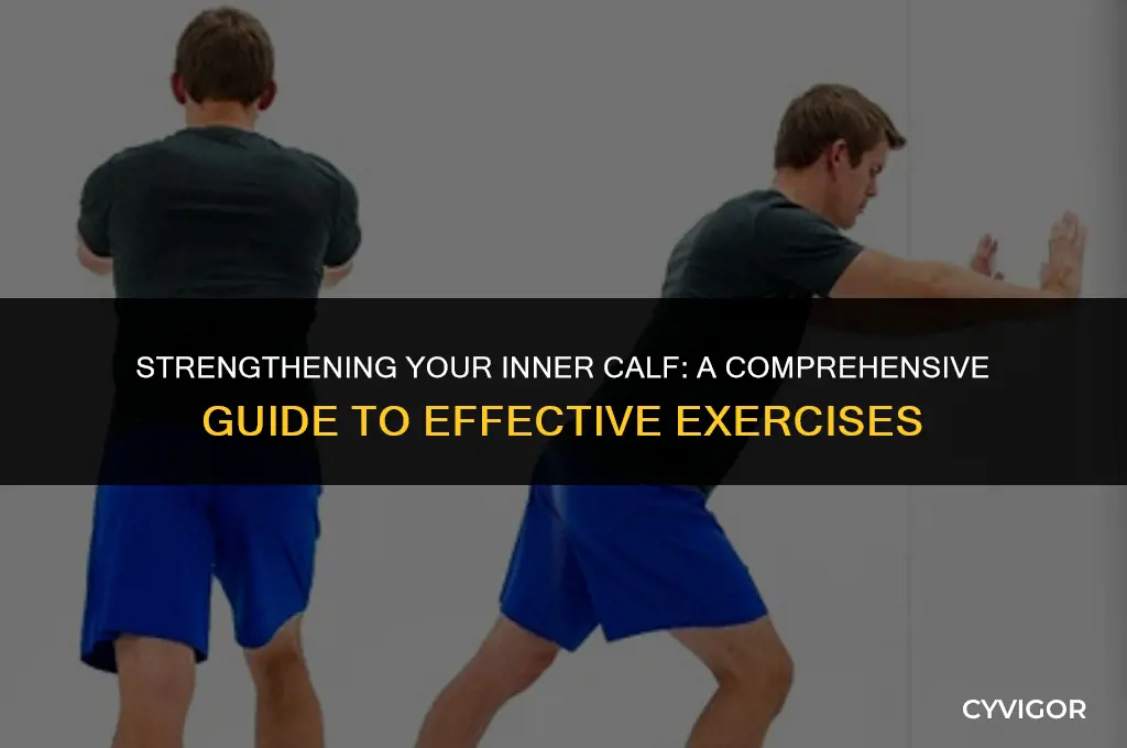 how to exercise inner calf muscle