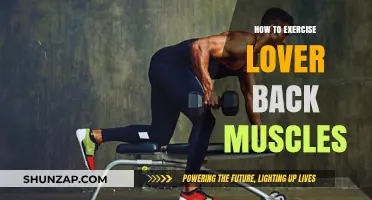 Strengthen Your Lower Back: Effective Exercises for a Healthier You
