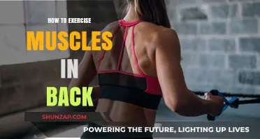 Strengthen Your Back: A Guide to Effective Muscle Exercises