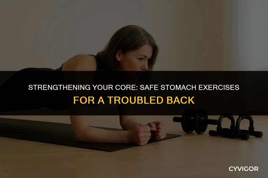 how to exercise stomach muscles with a bad back