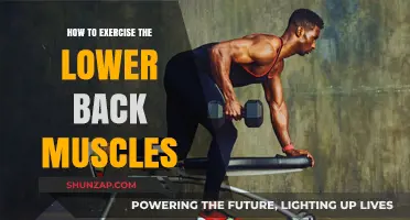 Strengthen Your Lower Back: Effective Exercises for a Healthier You