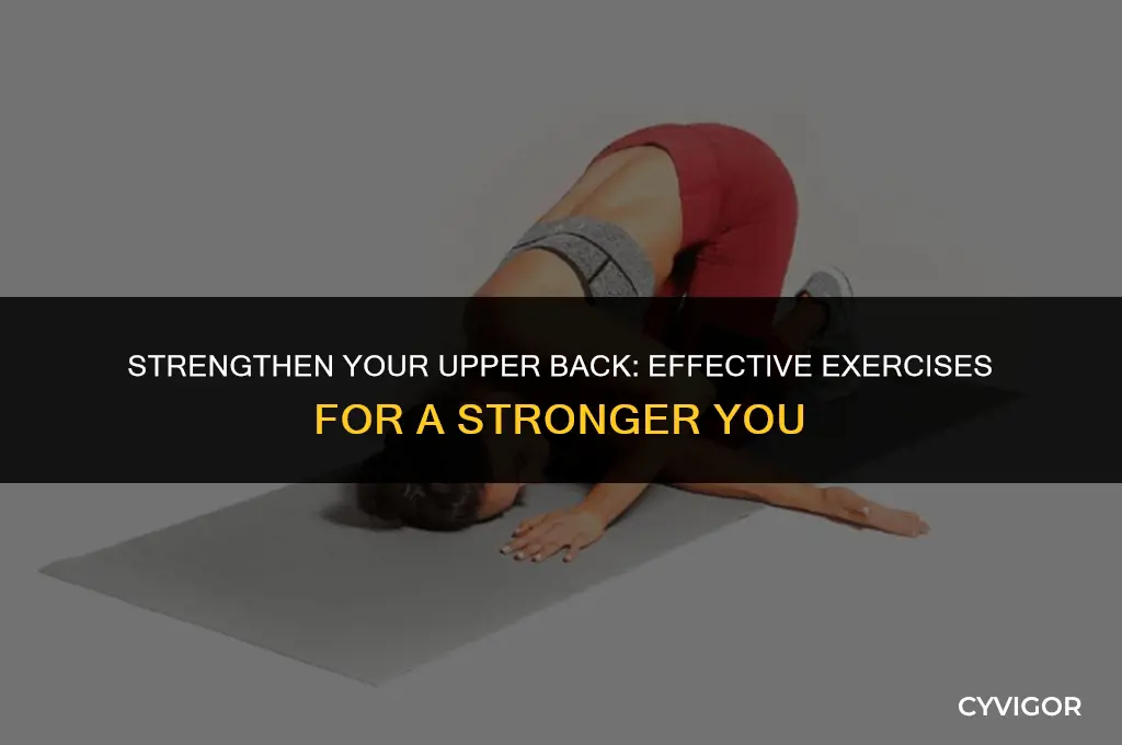 how to exercise upper back muscles