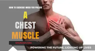 Healing and Staying Active: Safe Chest Muscle Recovery Workouts