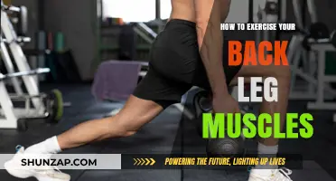 Strengthen Your Back Legs: A Guide to Effective Exercises