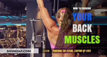 Strengthen Your Back: Effective Exercises for a Stronger Spine