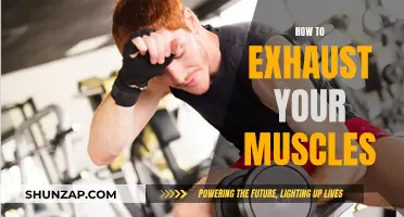 Exhausting Your Muscles: The Ultimate Guide to Muscle Fatigue