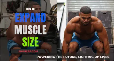 Building Muscle Mass: Strategies for Effective Growth