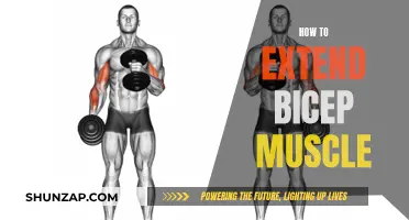 Building Bigger Biceps: Strategies for Muscle Growth and Strength