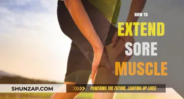 Effective Techniques to Prolong Sore Muscle Relief and Recovery