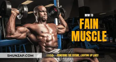 Building Muscle: Effective Strategies for Quick Results