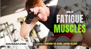 Fatiguing Muscles: Strategies for Effective Muscle Exhaustion