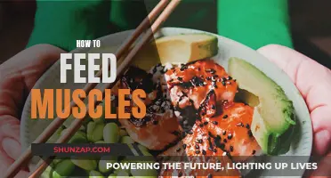 Fuel Your Muscles: Smart Eating for Strength and Growth