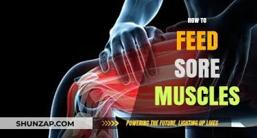Soothe and Nourish: Effective Ways to Feed Sore Muscles Fast