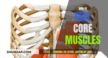 Engaging Your Core: Feel the Burn, Feel the Power